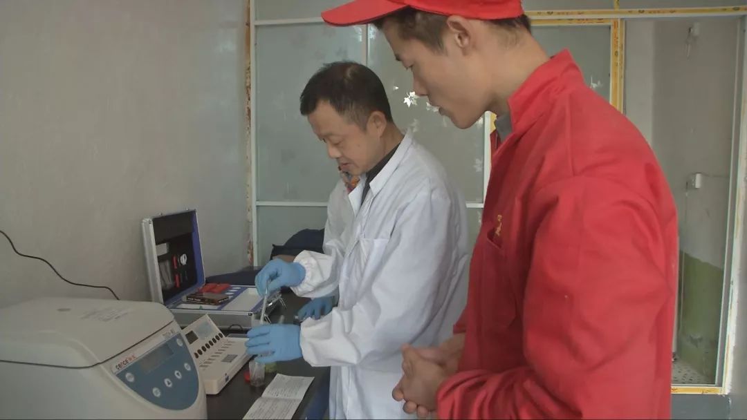 农产品检测设备_庙头镇四梅种养殖专业合作社 快检设备 农产品质量安全提升