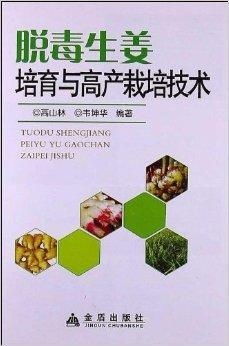《生姜种植技术大全：揭秘农业新宠儿的种植奥秘》
