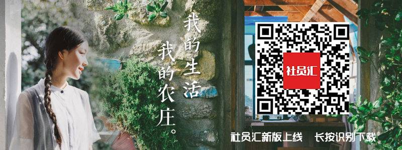农产品电商创业计划书_生鲜电商标准化_农村电商发展趋势