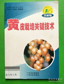 《黄皮种植新篇章：揭秘高效管理与前沿技术策略》