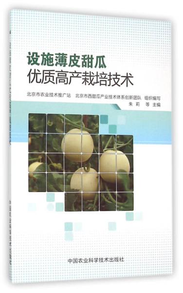 甜瓜种植新篇章：揭秘视频指导下的高产栽培技术