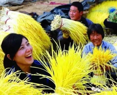 蒜黄种植技术培训：揭秘高效增收的秘密武器