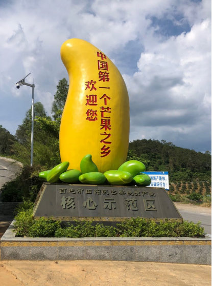 广西地理标志农产品知识产权证券化_广西农产品地理标志_粤桂协作乡村振兴