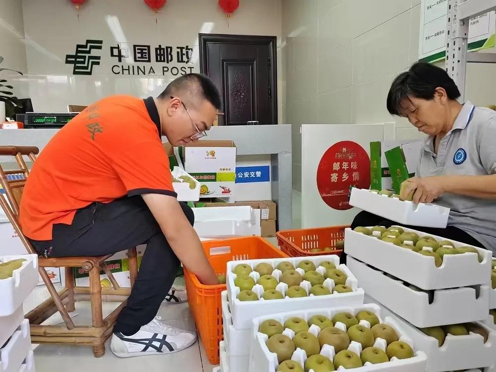 农产品网络零售额增长_农产品电商平台前景分析_乡村电商发展前景