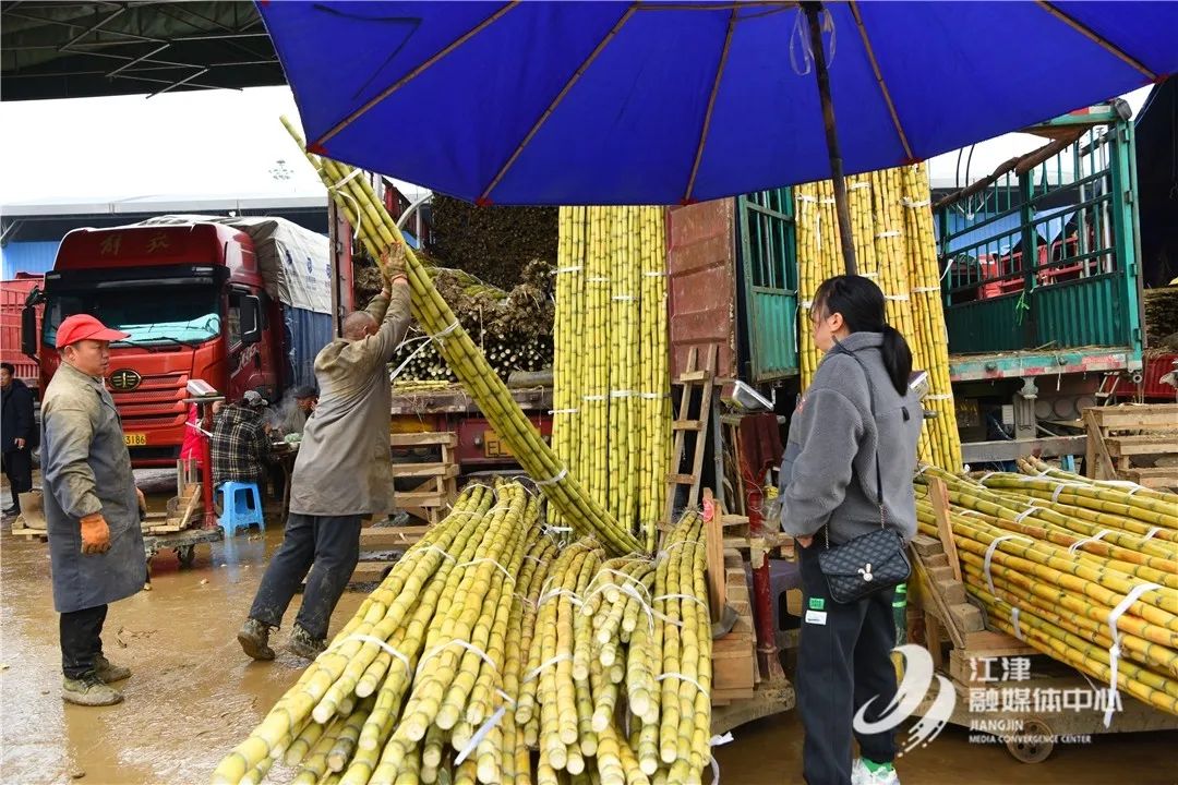 水果批发网 最大的线上农产品_双福国际农贸城水果市场_重庆水果热销榜