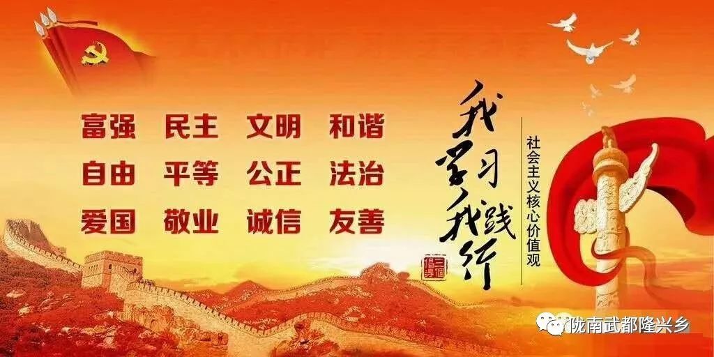 甘肃陇南隆兴镇特色农产品_隆兴镇农产品品牌取名_农产品标志设计
