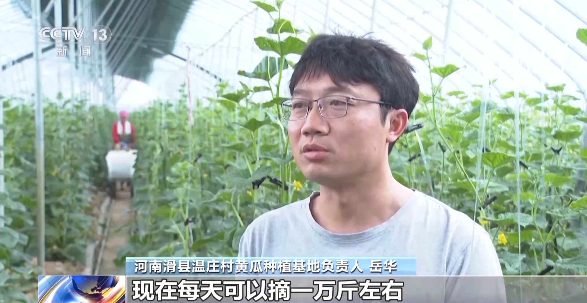 海吉星农批市场官网_海吉星农产品批发市场_海吉星农贸批发市场