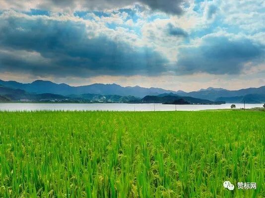 我国农业人口众多，农产品却价低难致富，原因何在？