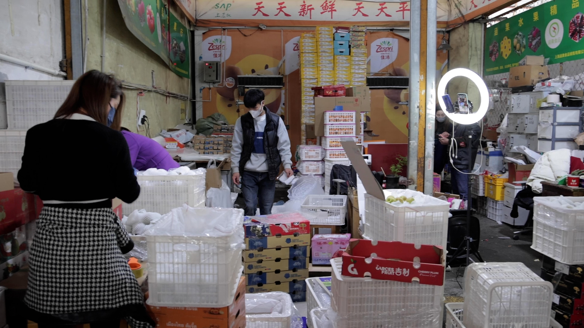 水果线上批发平台_水果批发网 最大的线上农产品_水果批发网有哪些