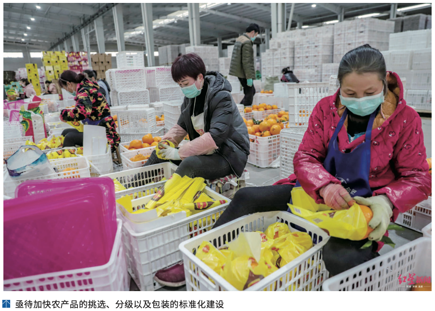 农产品冷链物流发展现状_农产品冷链“最先一公里”问题及解决方案_农产品质量安全追溯取得突破