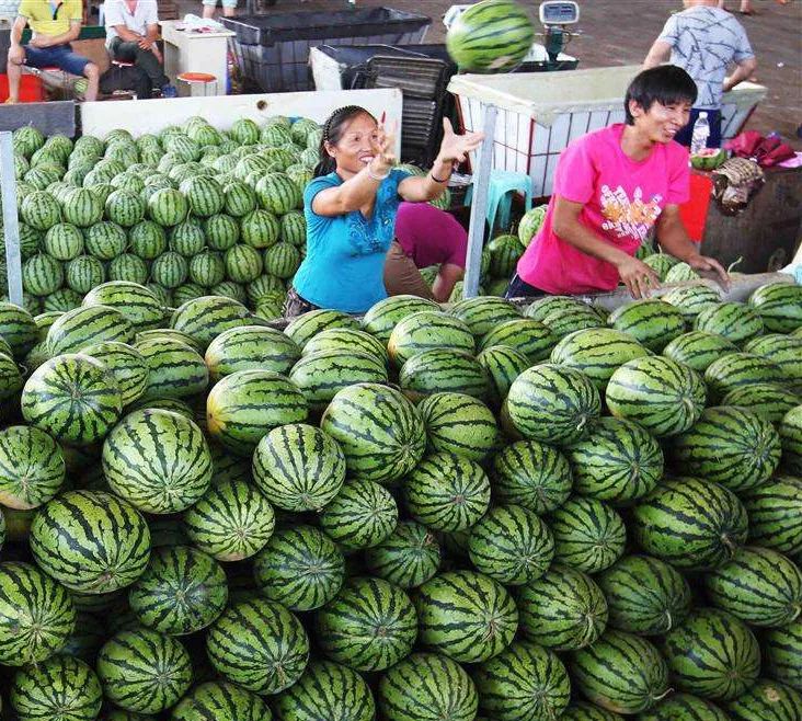 淮北最大的农产品批发市场_淮北农批市场升级需求_中农联皖北华农城千人抢铺