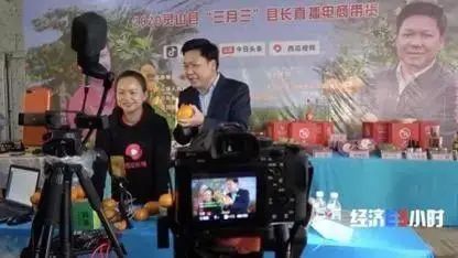 网红县长带货_农产品直播带货_农产品 滞销 数据