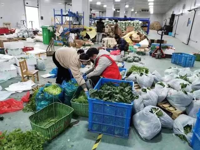 农产品配送模式有哪些_农产品宅配_农产品配给制度