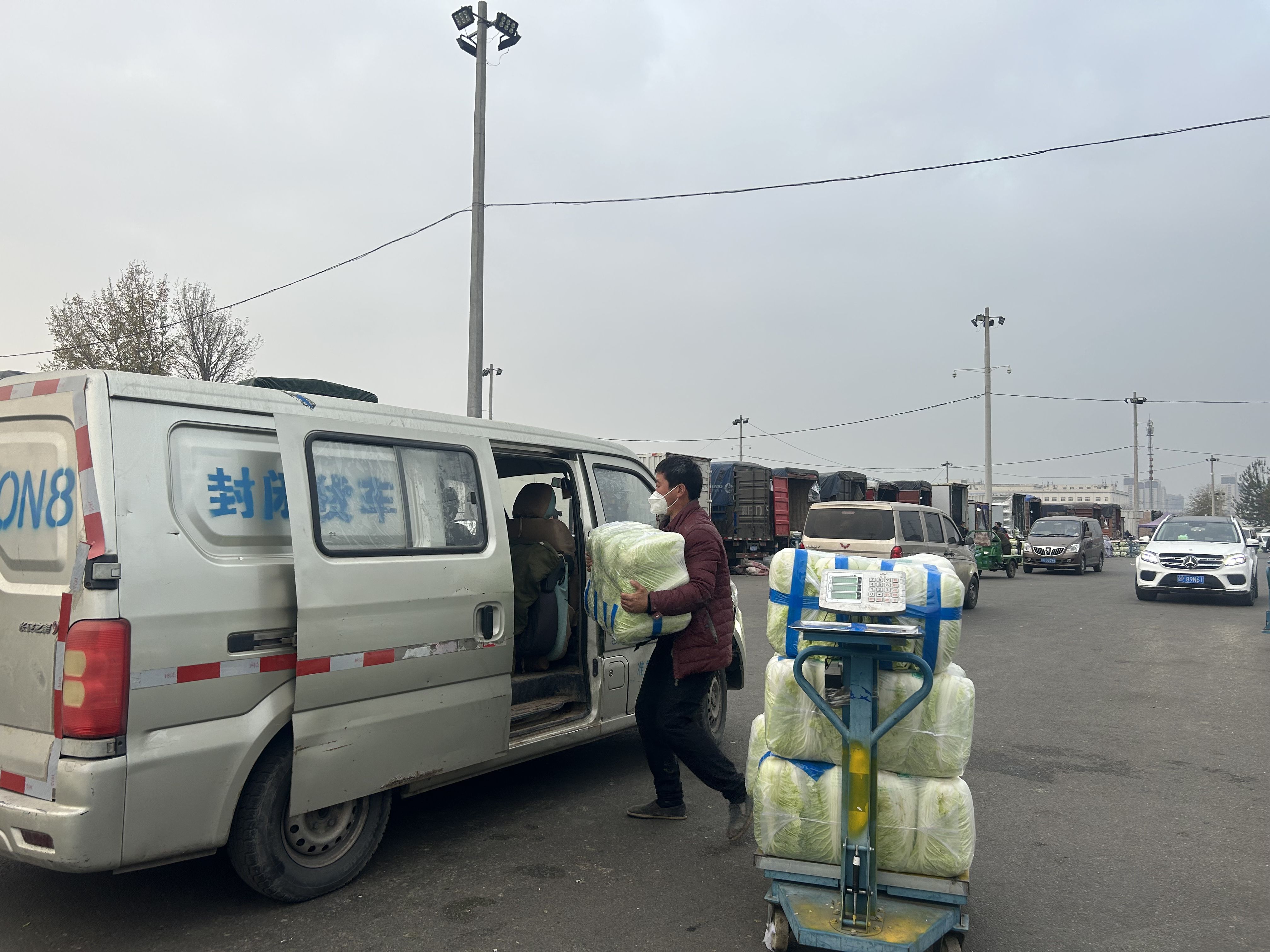 北京新发地市场猪肉价格下降_新发地市场蔬菜供应充足_北京新发地农产品批发市场地图