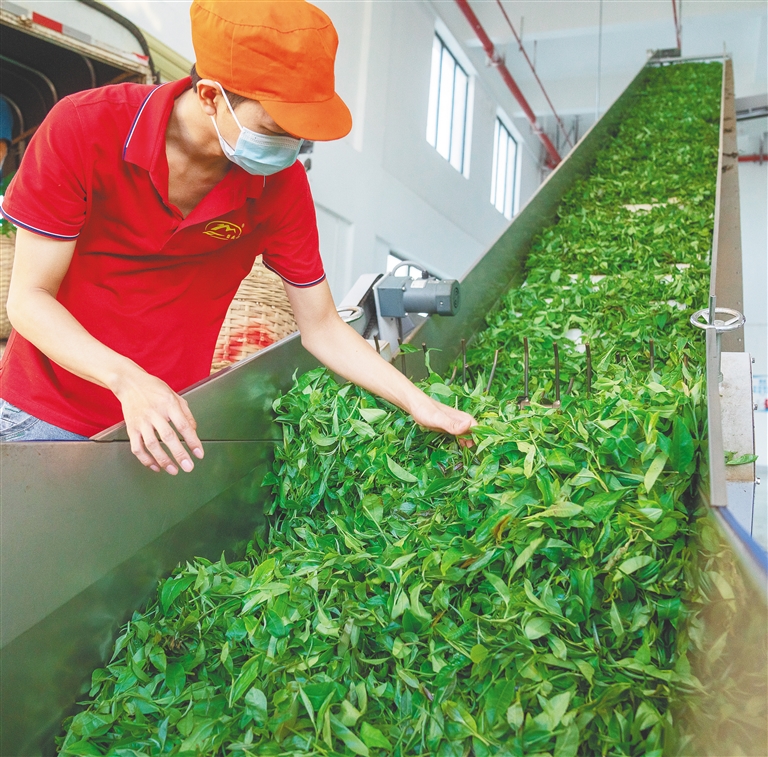 海南农垦食品产业集群_海南农垦农产品精深加工_海南特色农产品