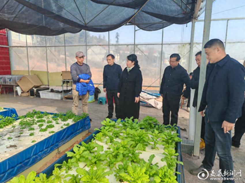 娄底农产品质量安全检查_娄底市农产品质量监管_最新食用农产品安全法
