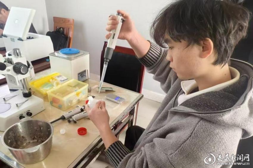 最新食用农产品安全法_娄底农产品质量安全检查_娄底市农产品质量监管
