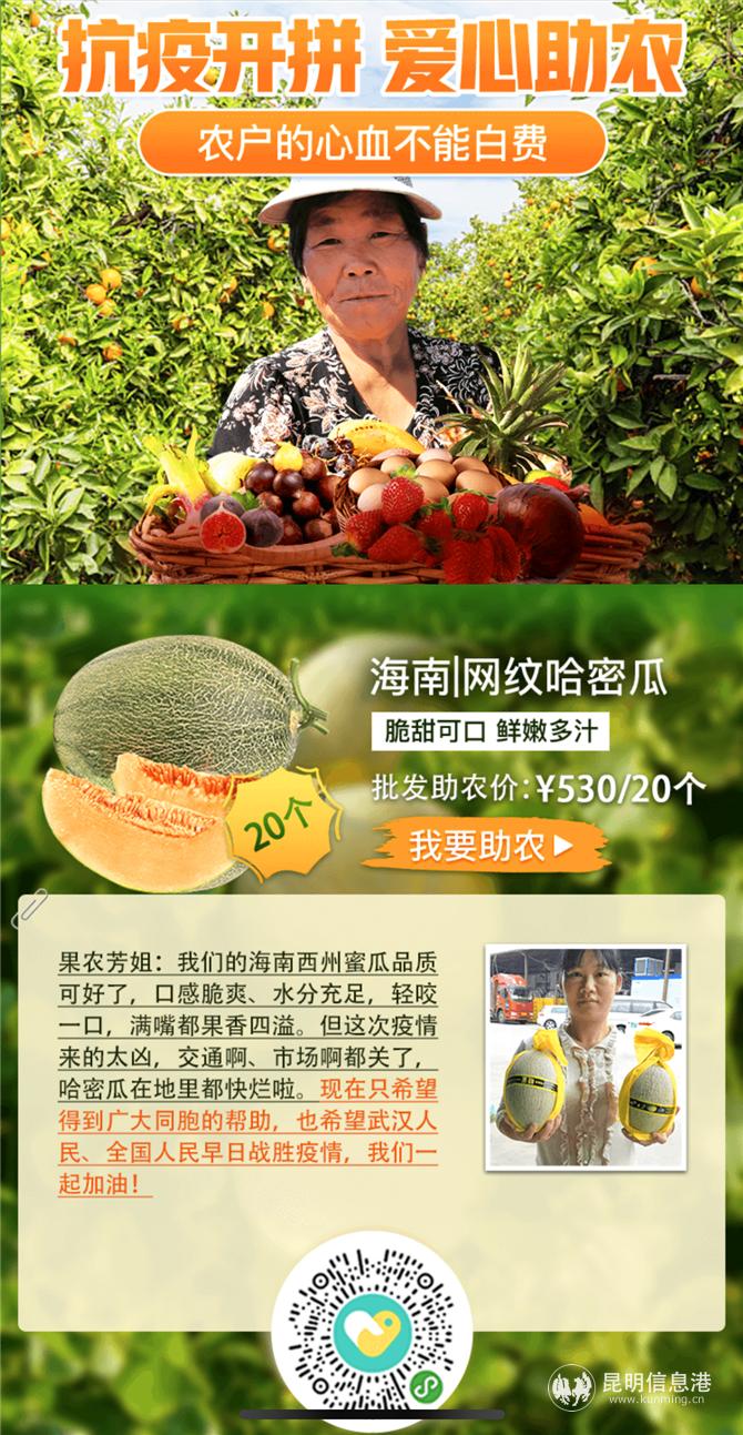 全国农产品产销对接公益服务联盟_农产品联盟_农产品产销对接会议