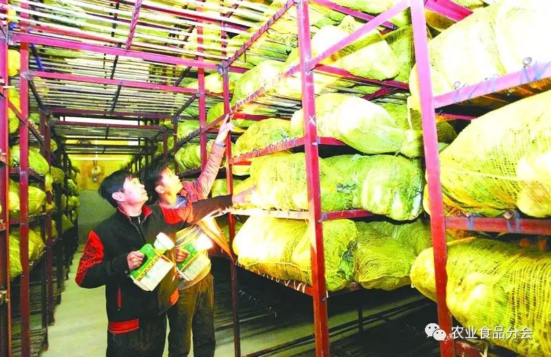 农产品流通模式_农户合作社农产品流通_农产品流通过程