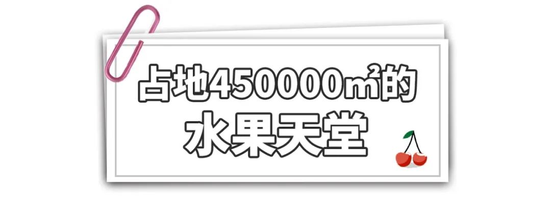 西郊国际农产品地址_水果批发市场_西郊国际农产品交易中心