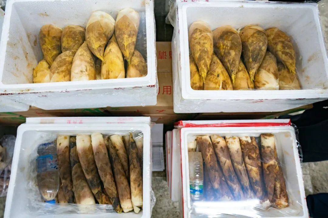 上海 农产品配送_上海春菜批发市场_崇明羊肚菌种植