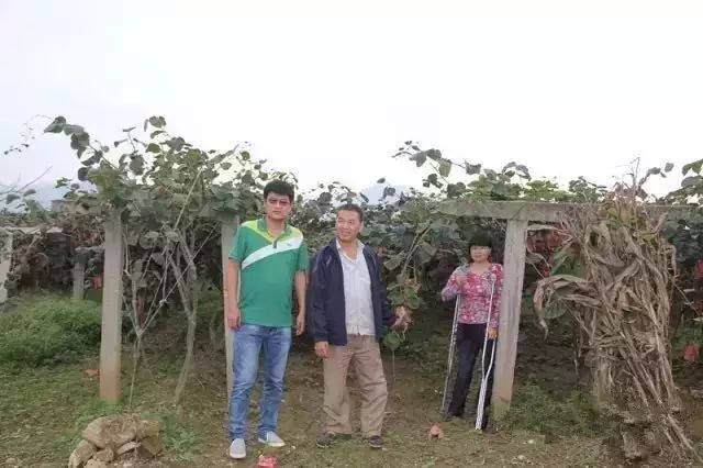 第一书记电商扶贫 _淘宝卖初级农产品_