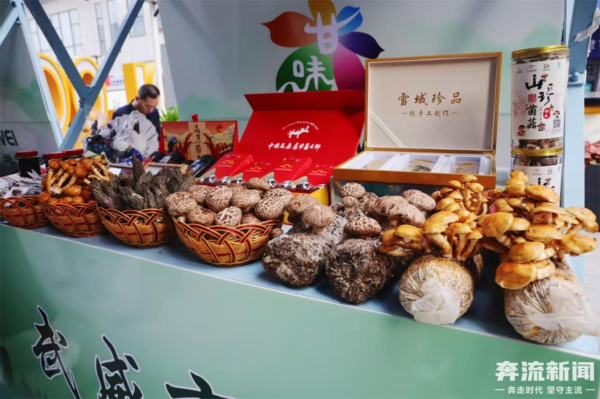 甘肃省农产品_甘味入津农产品展销活动_甘肃特色农产品天津展销
