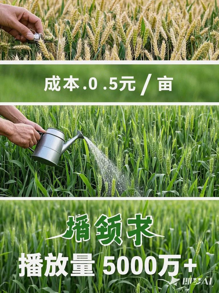 抖音新农人计划增收_农村短视频政策红利_农产品自媒体微信营销