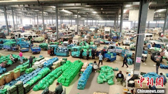 新民市蔬菜产业链_沈阳蔬菜批发市场_全国农产品交易