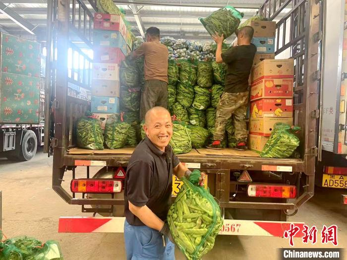 新民市蔬菜产业链_全国农产品交易_沈阳蔬菜批发市场
