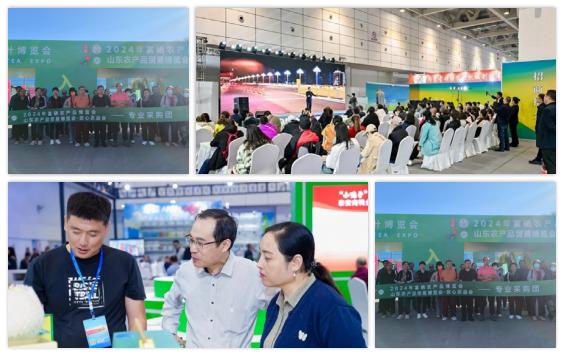山东国际会展中心农产品展_2025年1-12月山东省农产品出口额_2025山东农交会