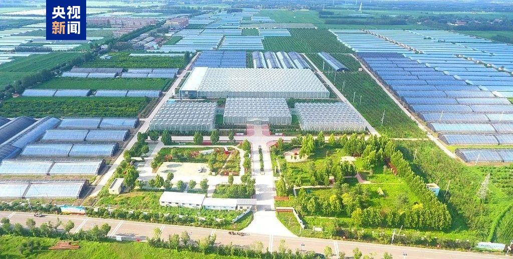 全国农产品交易_中国蔬菜生产能力分析_蔬菜价格上涨原因