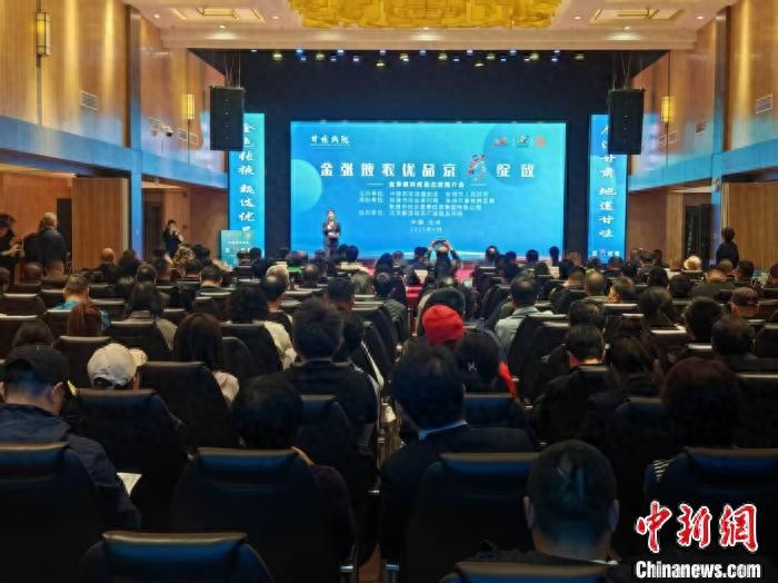 蔬菜农产品市场现状_中国农产品行业现状_金张掖农优品进京推介会
