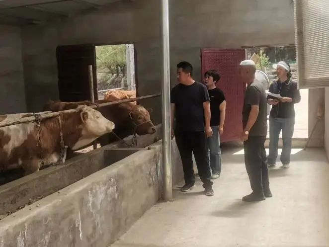 永靖县农产品监测_甘肃省畜禽产品质量安全监测_刘家峡库区网箱整治工作