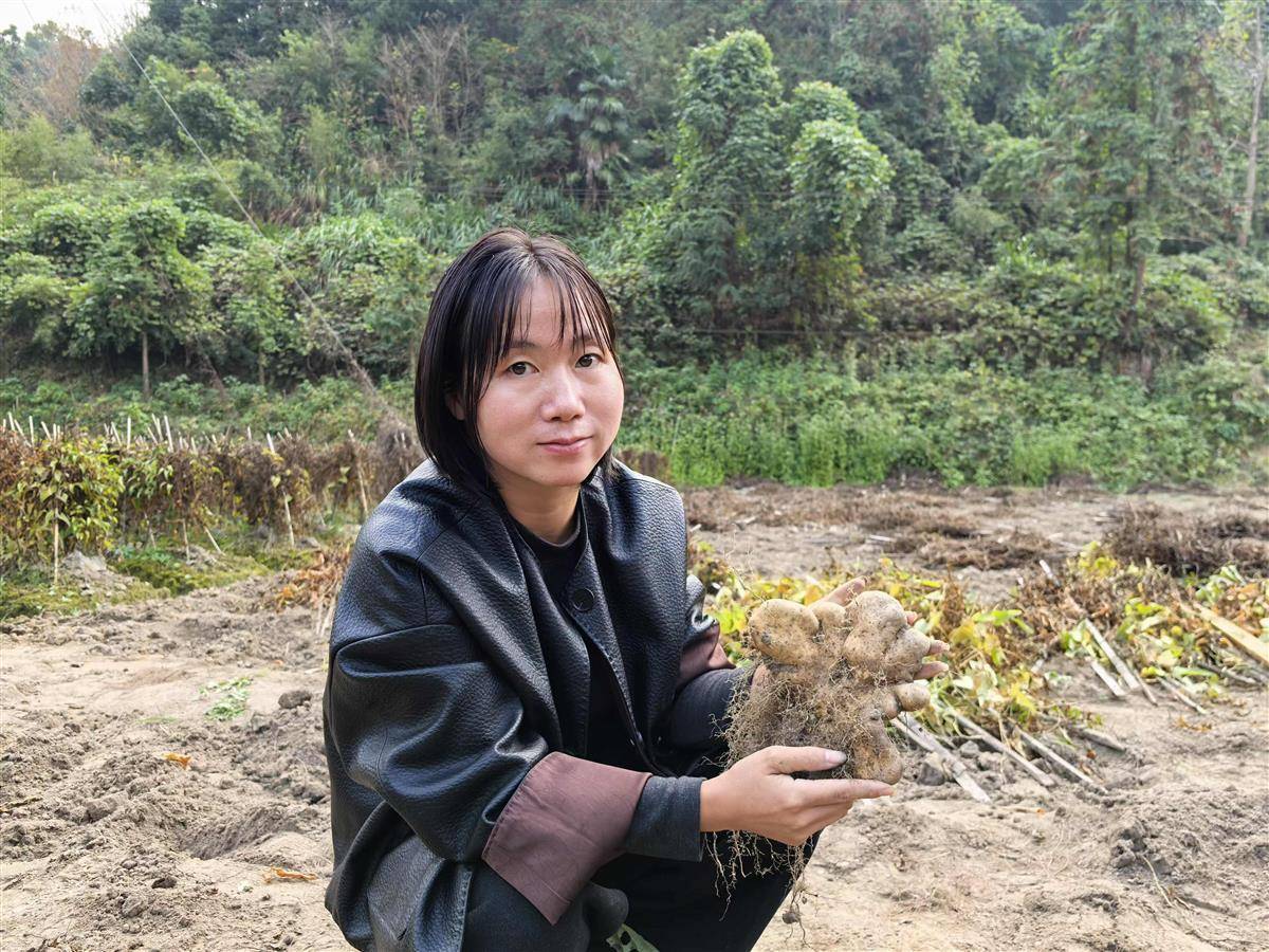 黄冈土特产推广_黄州萝卜地理标志_大别山农产品批发市场