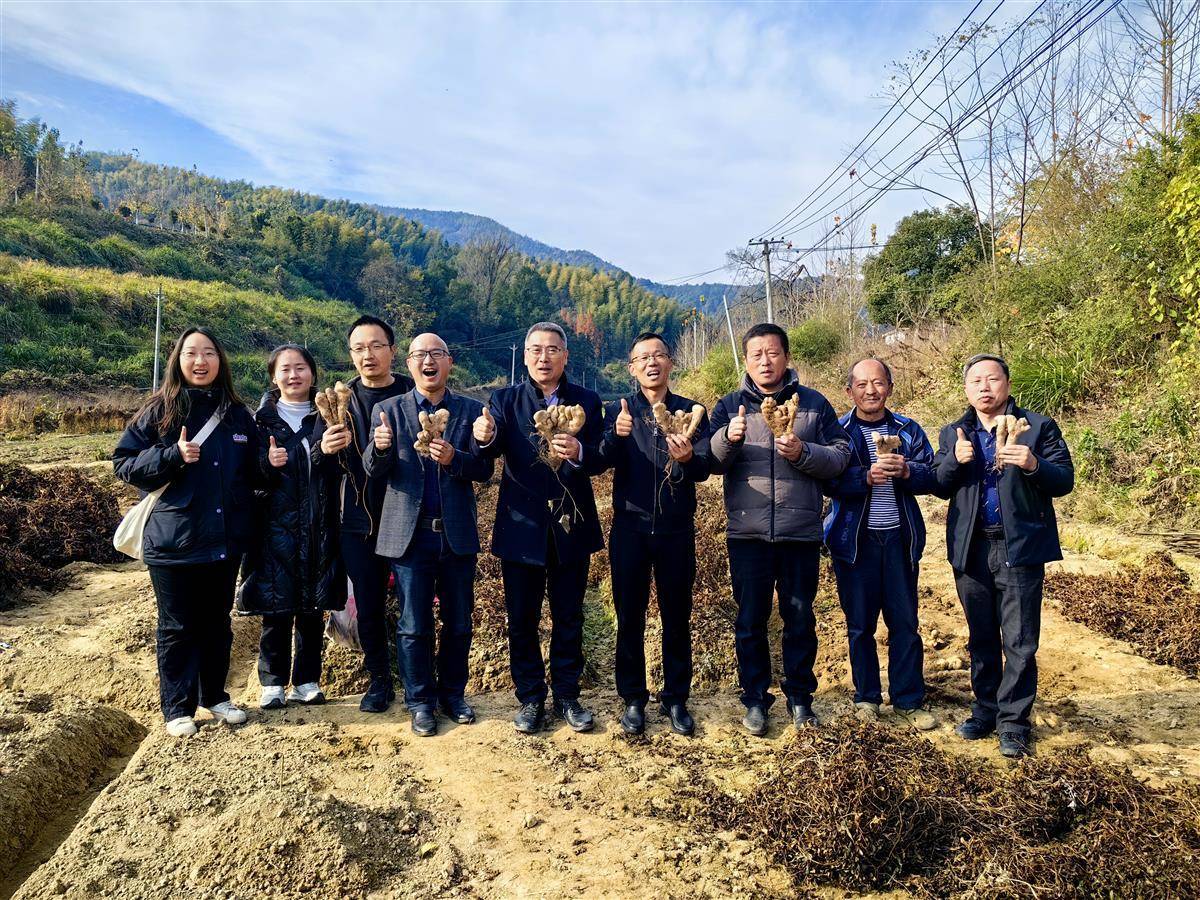 黄冈土特产推广_大别山农产品批发市场_黄州萝卜地理标志