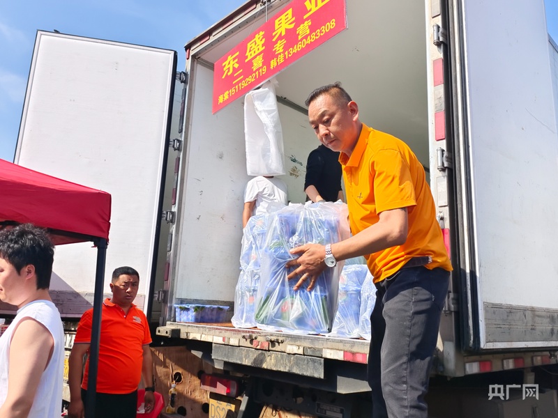 河北省农产品电子交易中心_冷链物流荔枝配送_首衡高碑店市场