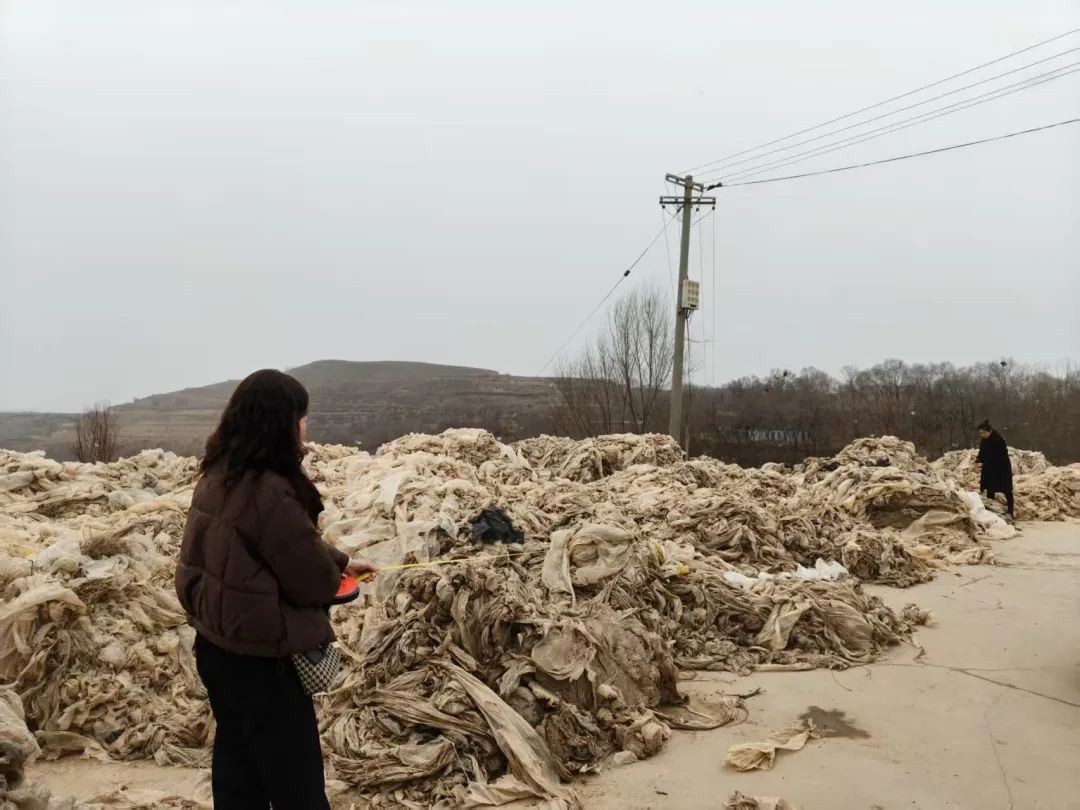 高标准农田项目建设进度_2025年春季农业生产技术指导_永靖县农产品监测