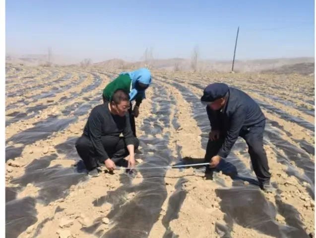 永靖县农产品监测_2025年春季农业生产技术指导_高标准农田项目建设进度