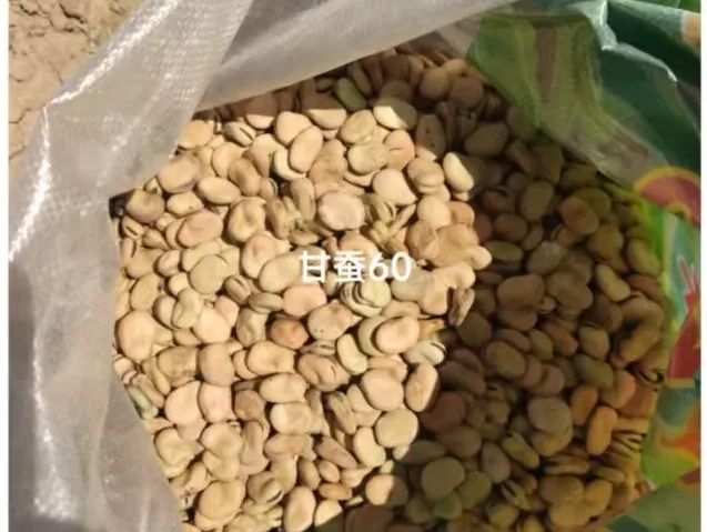 高标准农田项目建设进度_永靖县农产品监测_2025年春季农业生产技术指导