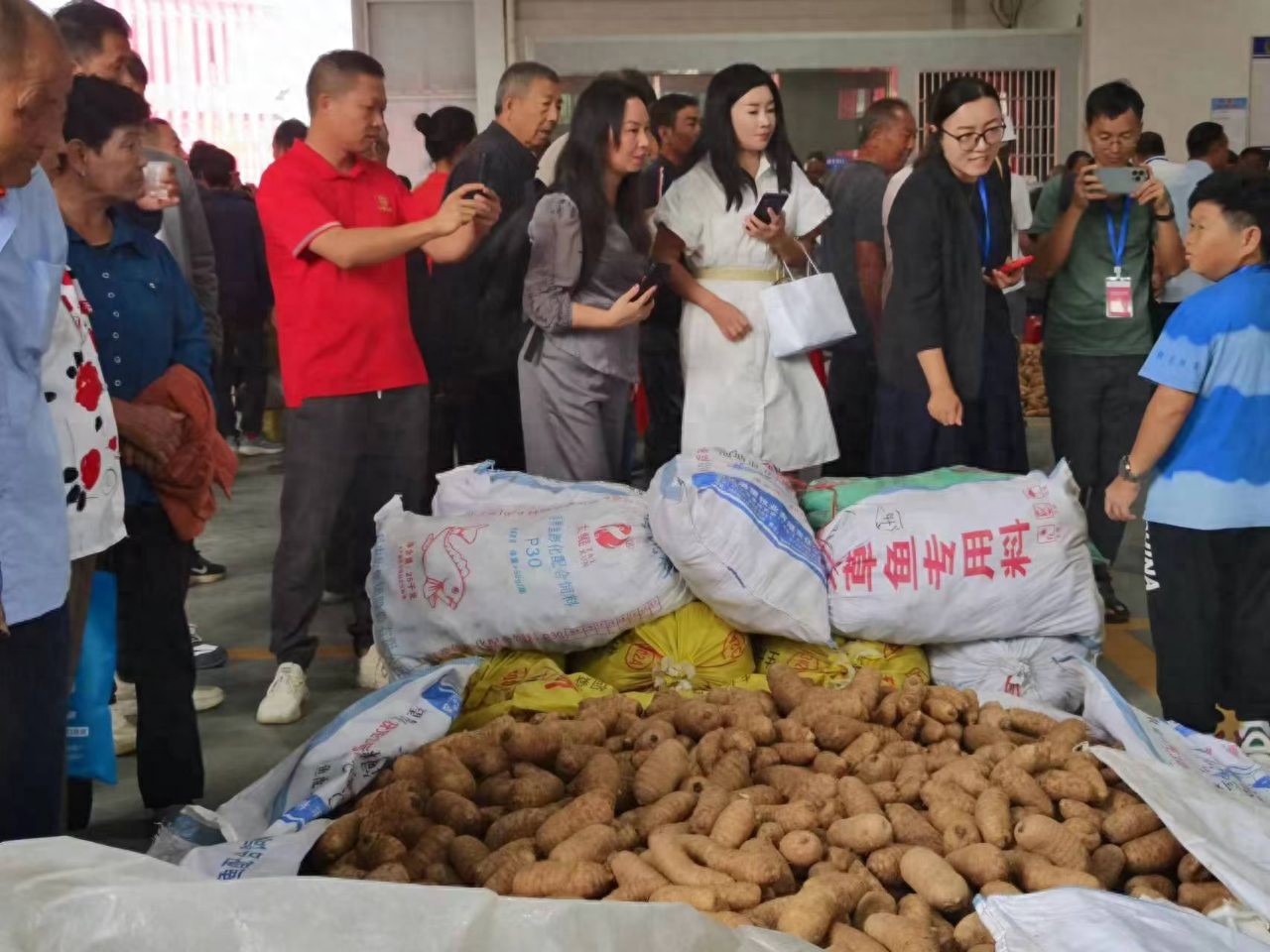 大别山农产品批发市场_罗田县中药材种植_大别山道地药材产业园