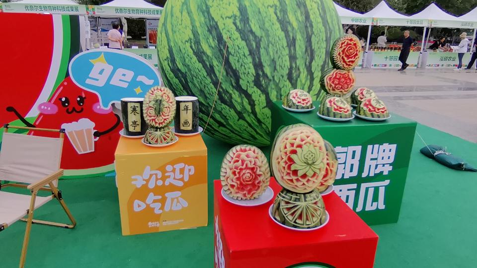 潍坊特色农产品展_潍坊市农产品产业_寒亭西瓜节