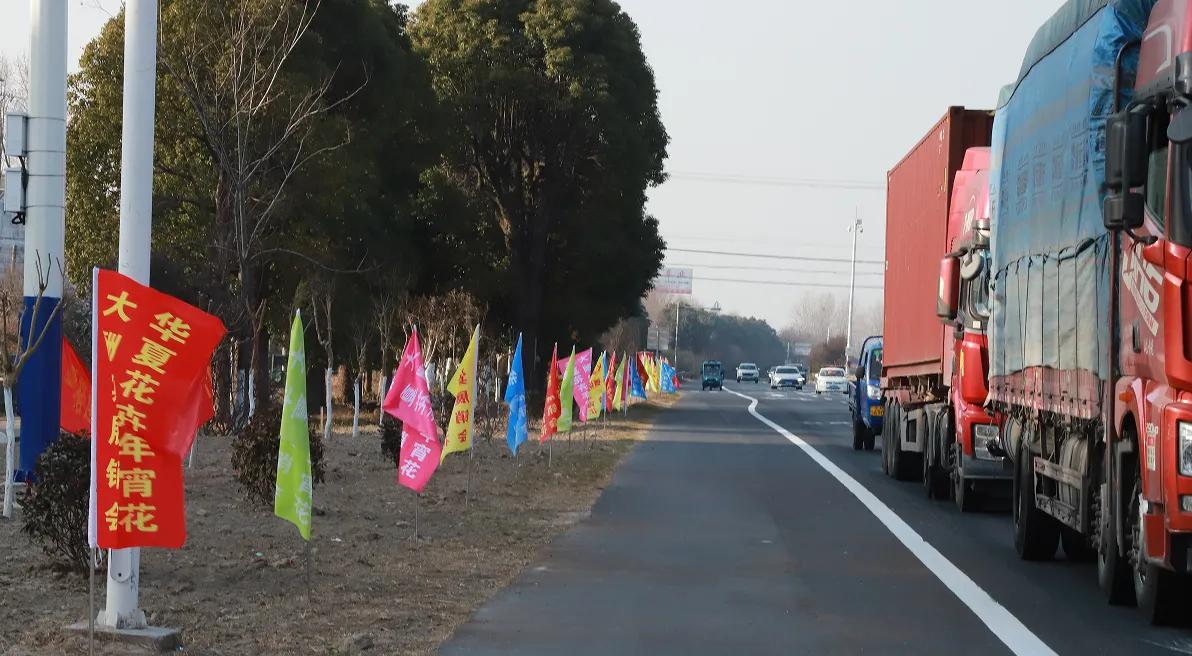 2025如皋华夏花卉年宵花展销会_2025南通农产品展示展销会_如皋华夏花卉市场年宵花展