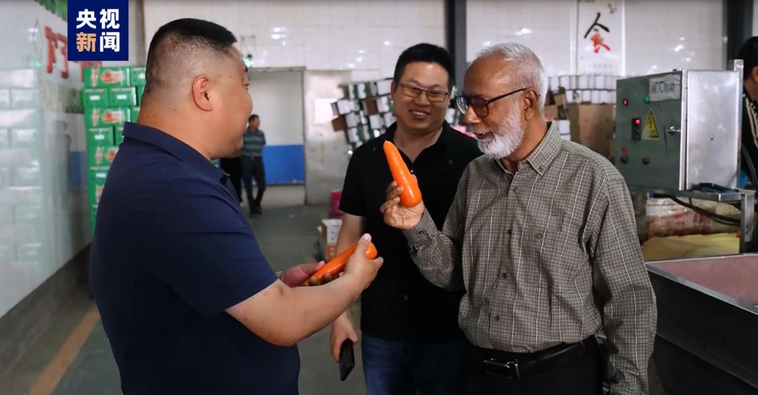 潍坊农产品出口综合试验区_潍坊胡萝卜种植出口_潍坊市农产品产业