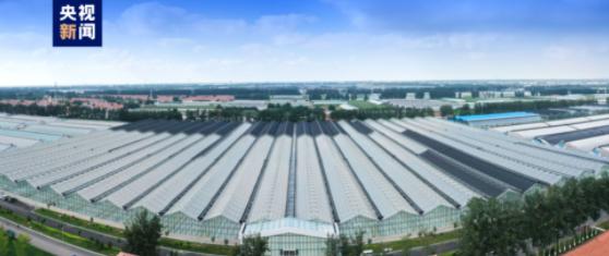 潍坊农产品出口综合试验区_潍坊胡萝卜种植出口_潍坊市农产品产业