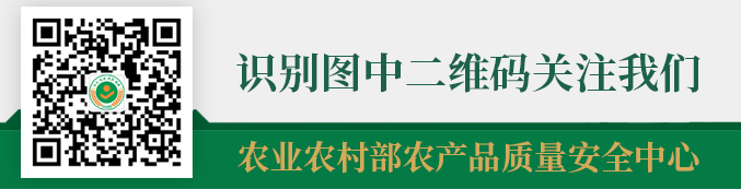 福鼎槟榔芋品质特征_福鼎市佳阳乡的农产品_福鼎槟榔芋产地