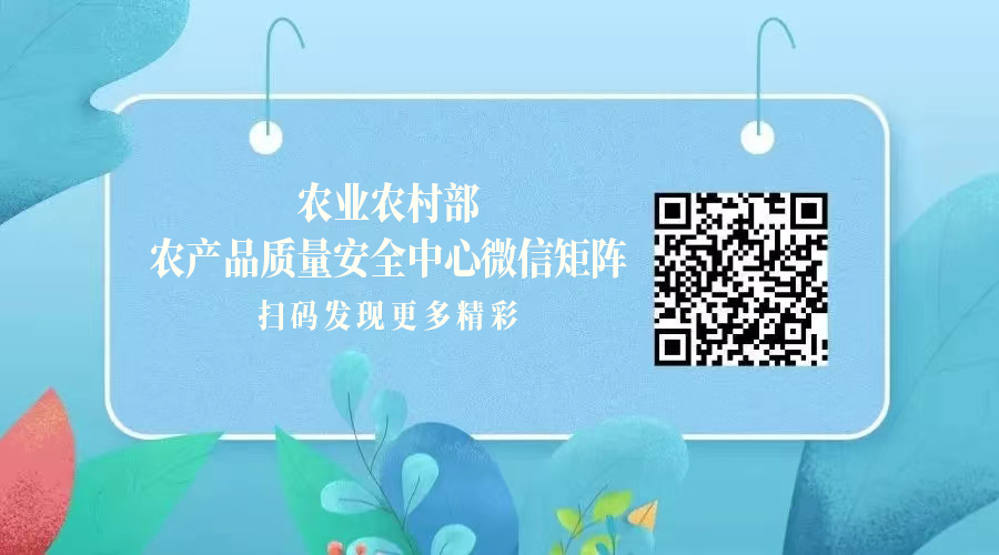 福鼎市佳阳乡的农产品_福鼎槟榔芋品质特征_福鼎槟榔芋产地