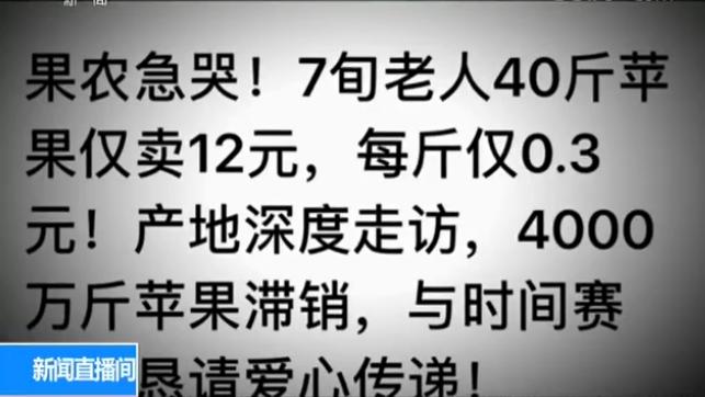 山西临猗苹果滞销传闻引关注，真相究竟如何？