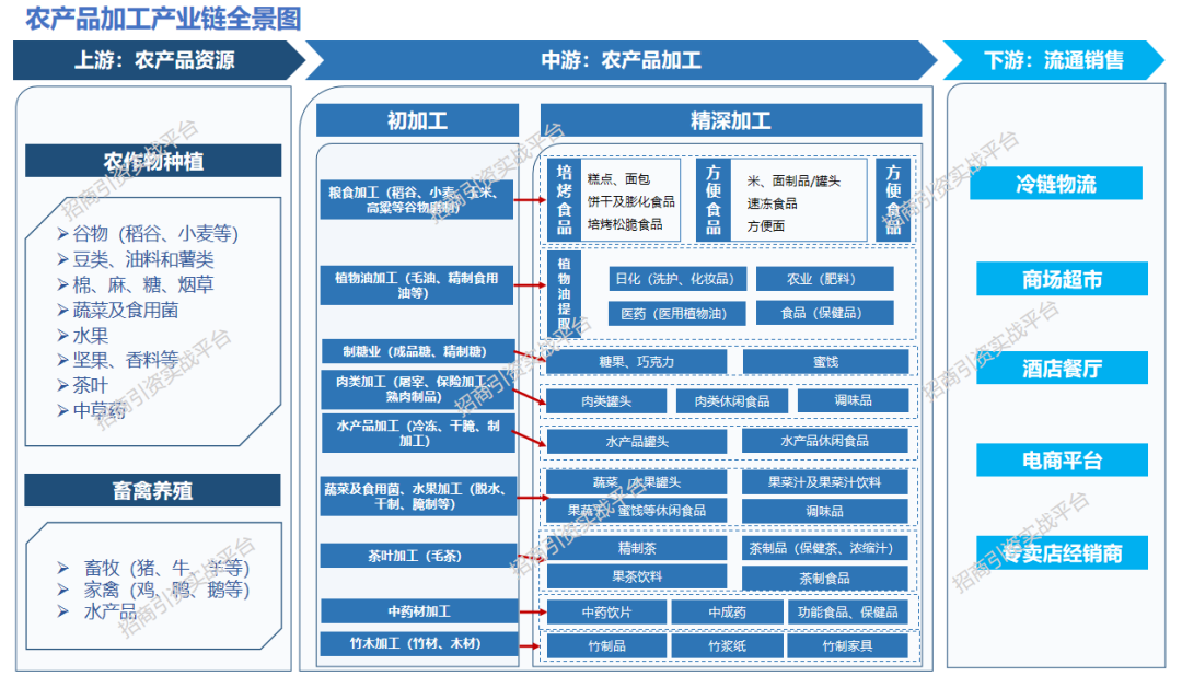 广东农产品加工业产业集群_广东农产品排名_农产品加工产业链发展现状