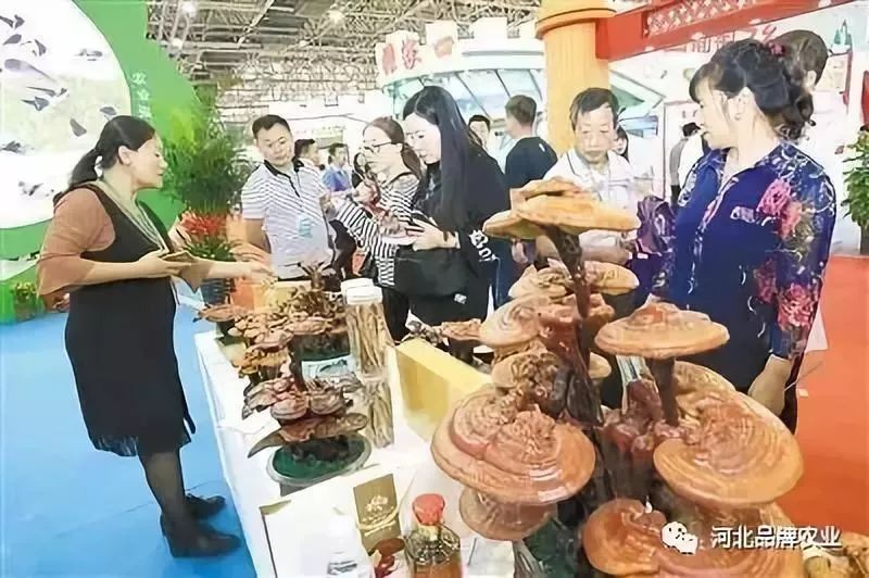 全国农产品交易会_第二十一届农交会_中国廊坊农产品交易会
